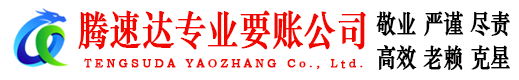 蒙城清债公司